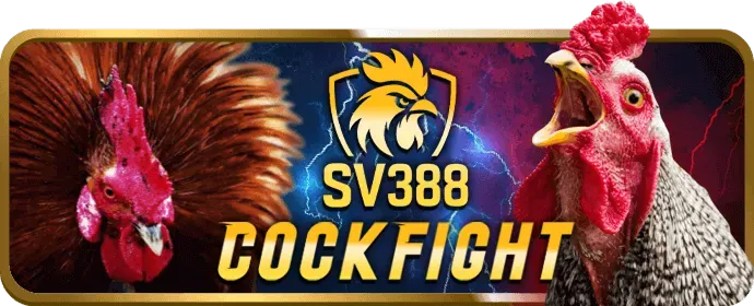 Hoàn Trả Thể Thao King88